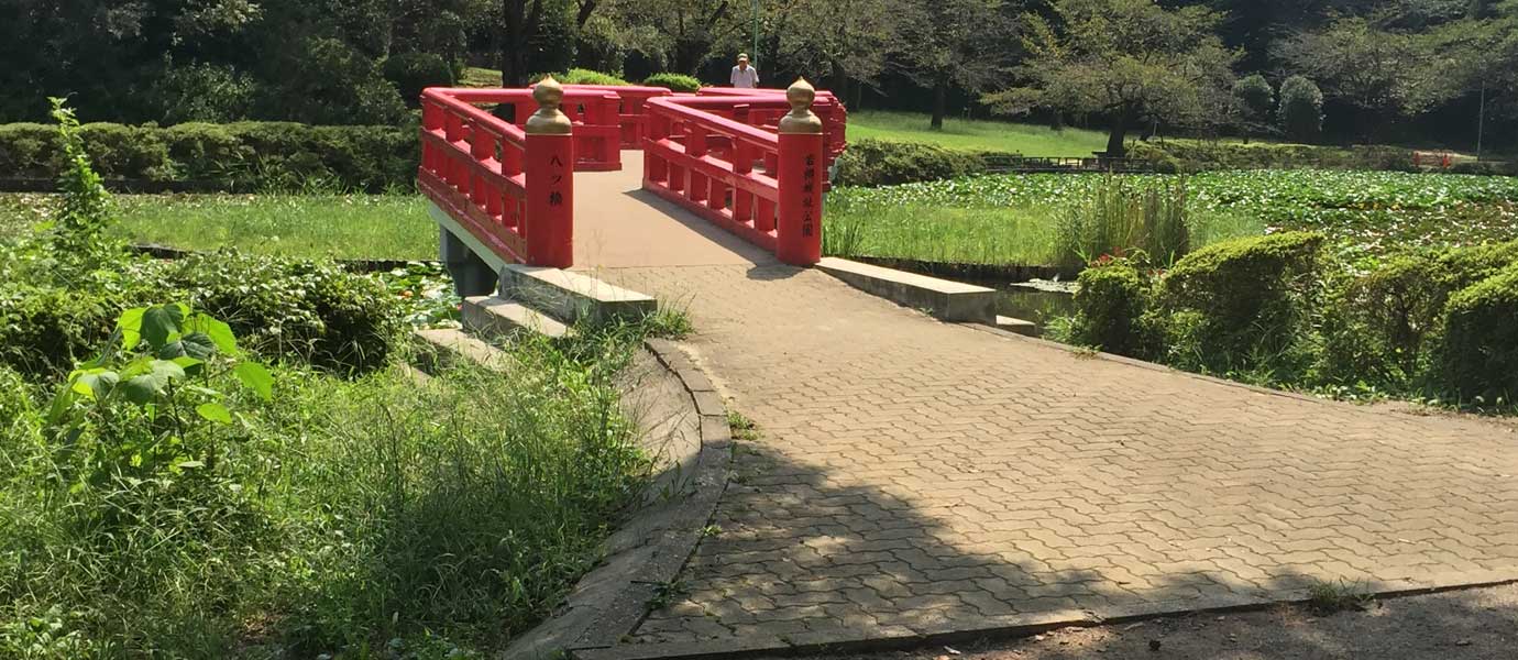 Japenese Bridge