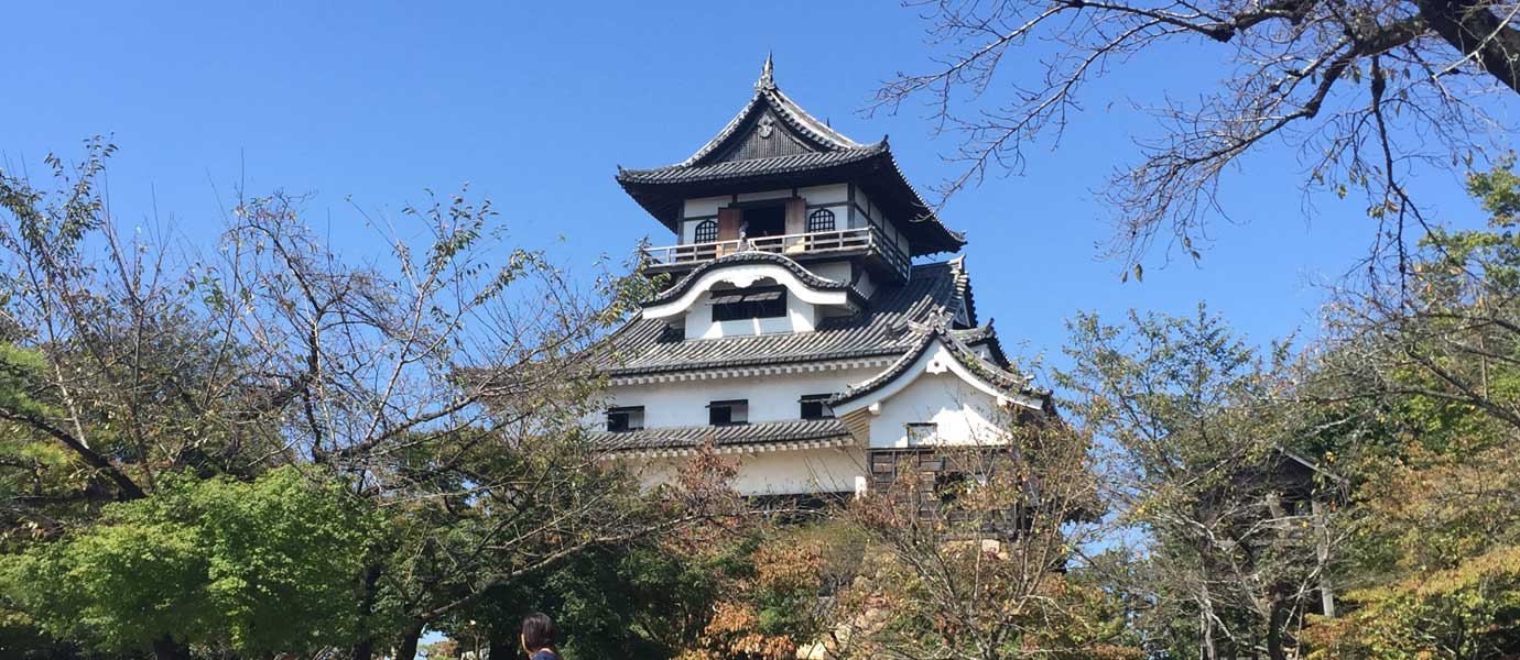 Japenese Castle